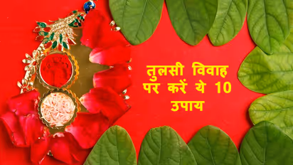 Tulsi-Vivah-2024-10-remedies-with-tulsi-plant