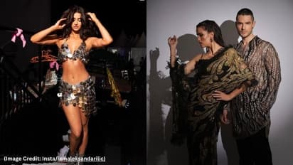 hardik pandya ex wife Natasha stankovic best friend alksandar Ilic instagram story with disha patani 