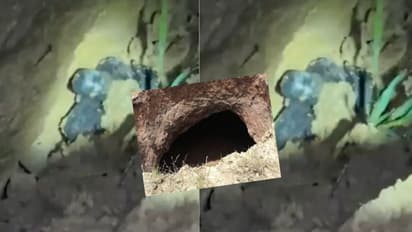 UP Ghaziabad shivling found in pit mubarikpur dasna masuri thana lightning miracle