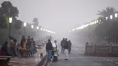 up weather update cold wave fog rain alert western disturbance