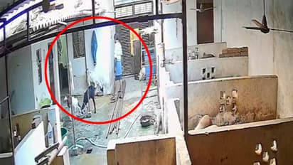 Bulandshahr man sexually abused goat incident ssps action petition After CCTV Viral