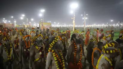mahakumbh 2025 Basant panchami third amrit snan naga sadhus sangam security