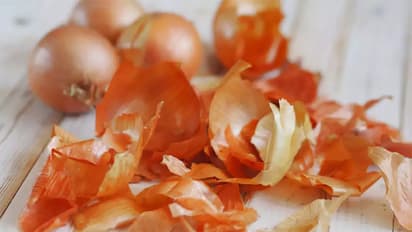 Pyaj-Ke-Chhilkon-Ka-Istemal