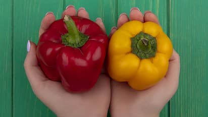 Male-vs-Female-Capsicum