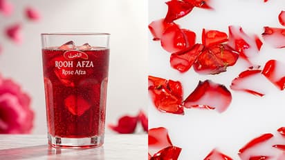 Homemade Rooh Afza Recipe