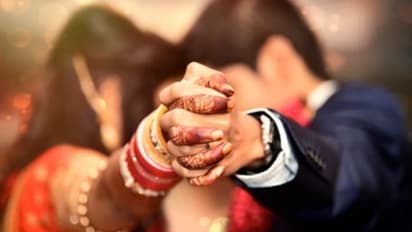 Jhalawar road accident news