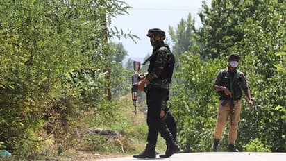 Jaish, Lashkar Terrorists Gather For Big Meeting In Pak's Bahawalpur