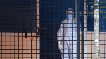 Nipah Virus Danger, Corona Virus, Corona Nipah Virus, Corona Nipah Virus News, Nipah Virus Latest News, Nipah Virus WHO