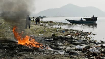 brahmaputra river pollution