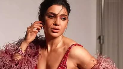 Varun Dhawan, Shah Rukh Khan, Samantha, Salman Khan, Nayanthara, Amitbah Bachchan