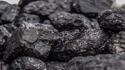 benefits of eating shilajit