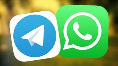 WhatsApp, Telegram