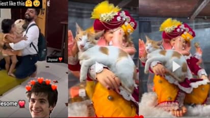 dogs love cat sleeping in ganesh Idol arm