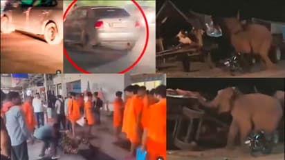 Kanwar Yatra,  CRPF Jawan assulted,  Home Guardm,  Wild Elephant,