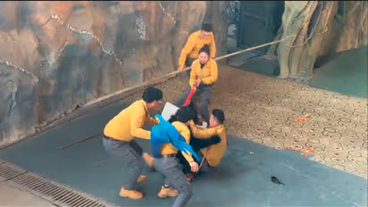 bear attacked its keeper during a show