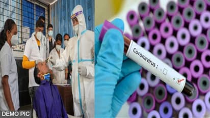 covid-19 case in rajasthan