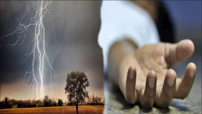 accident in rajasthan