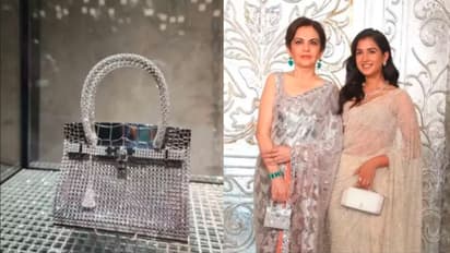 world’s most expensive bag worth