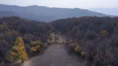 World's Fossil Fuel Emissions To Hit New Record In 2025: Study