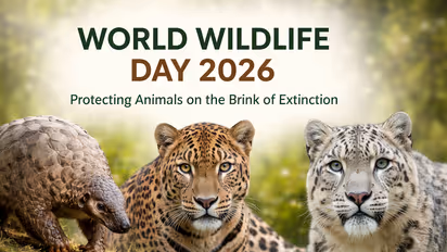 World Wildlife Day 2026