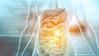 Gut Bacteria Fuel Drives Diabetes and Liver Disease, Canadian Study Finds