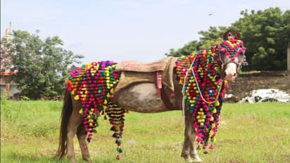 शादी नहीं हो रही