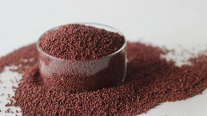 ragi