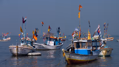 deep sea fishing New Rules