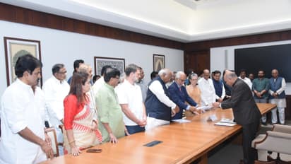 Vice President Election 2025