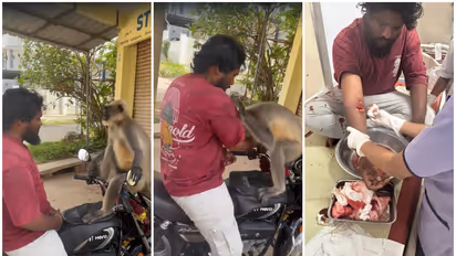 Shivamogga man injured after monkey attack while shooting reel