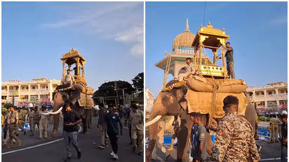 Mahendra dropped from Mysuru Dasara 2026 Golden Howdah race