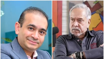 vijay mallya Nirav Modi