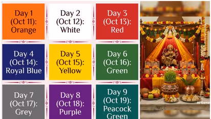 Navratri 2026 Color