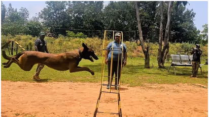 Karnataka forest dog squad