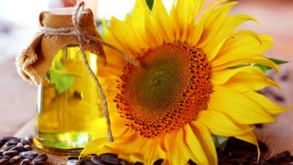 Sunflower oil