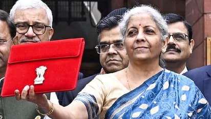 Nirmala Sitharaman, Budget 2024