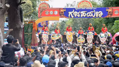 Elephants rehearsing for Mysuru Dasara Jamboo Procession