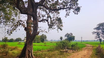 rural bengal