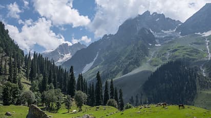 kashmir