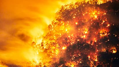 Solar storms could be the cause of mankind s next catastrophe  scientists fear bsm