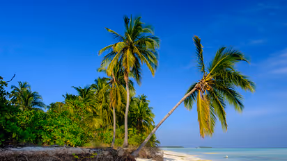 Lakshadweep