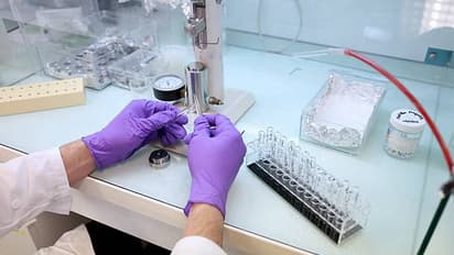 Scientists Uncover Molecular 'Passports' That Regulate Cell Nuclei