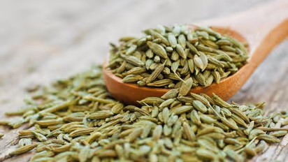 Fennel seeds