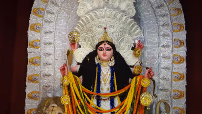 Jagaddhatri Puja
