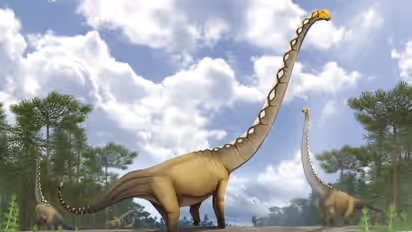 Uragasaurus kalasinensis