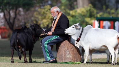 PM Modi Makara Sankranti