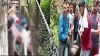 namami gange project