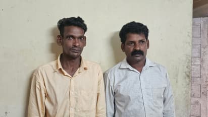 sandalwood sellers caught