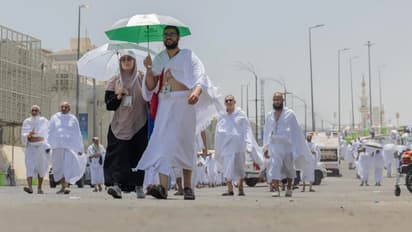 hajj pilgrims