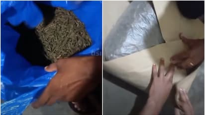 ganja caught from other state workers in kozhikode